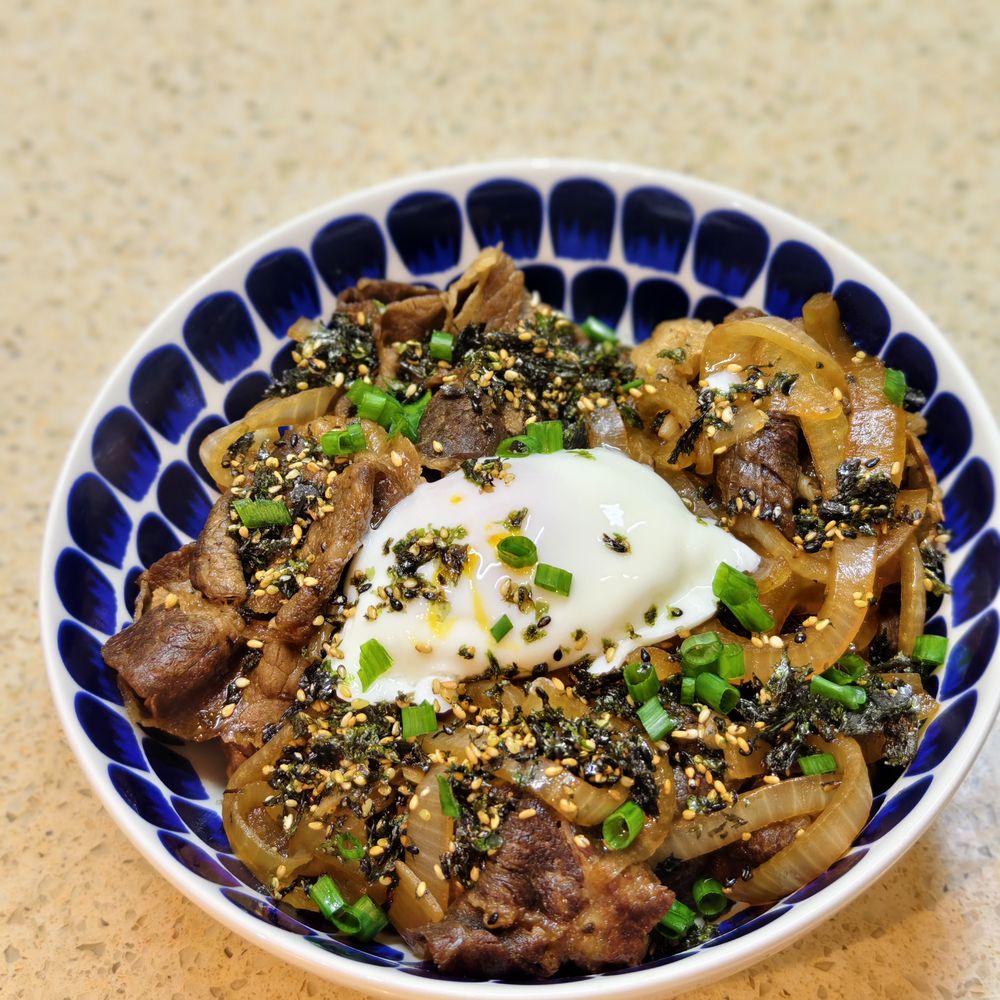 Teriyaki Beef & Onion Rice Bowl